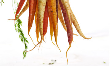 ATELIER CUISINE : SUBLIMER LES LEGUMES D'HIVER ATELIER CUISINE : SUBLIMER LES LEGUMES D'HIVER