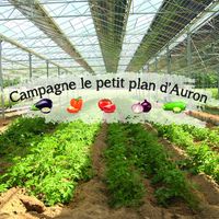 LEGUMES // Campagne le petit plan d'Auron / Cécile Plauchud