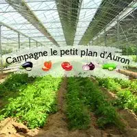 LEGUMES // Campagne le petit plan d'Auron / Cécile Plauchud