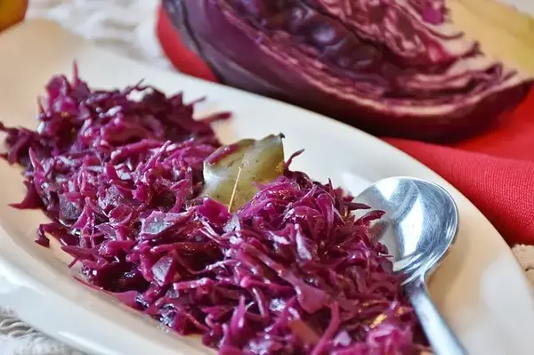 Chou rouge braisé aux myrtilles (recette Cobionat)